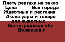 Плету рептухи на заказ › Цена ­ 450 - Все города Животные и растения » Аксесcуары и товары для животных   . Волгоградская обл.,Волжский г.